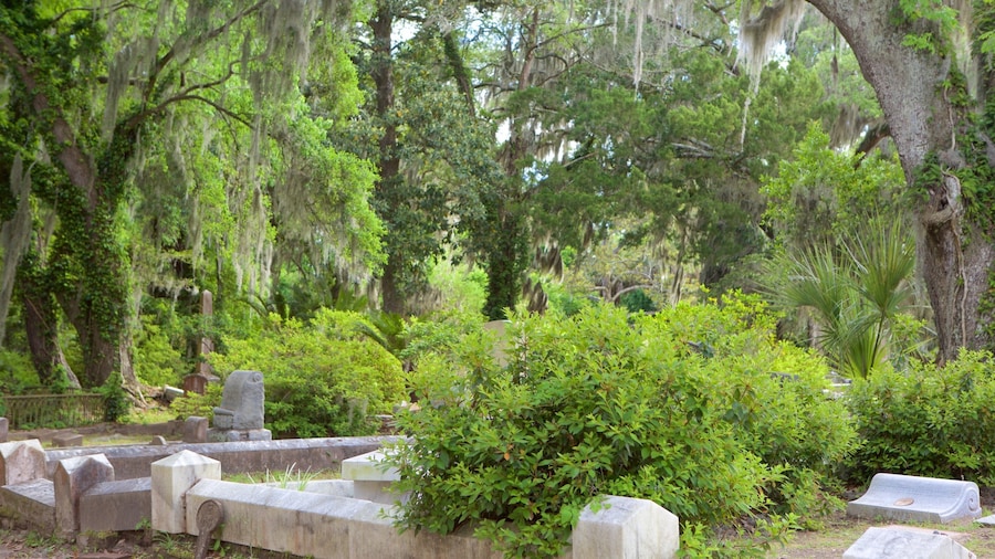 Moss-draped oak trees and historic gravestones in Bonaventure Cemetery, one of Savannah’s most famous and atmospheric landmarks
