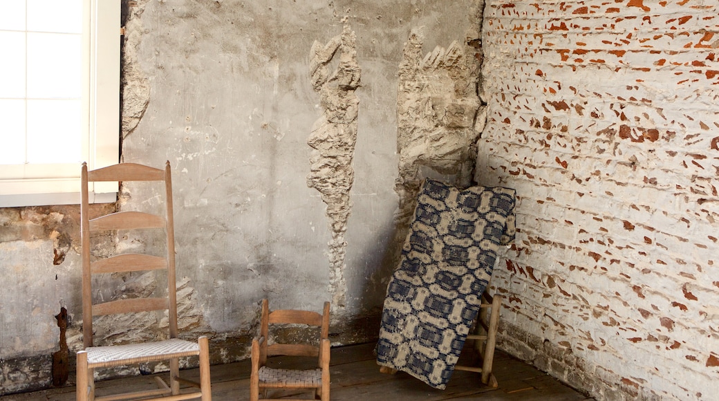 Owens-Thomas House showing interior views, a house and heritage elements