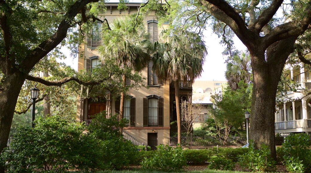 Monterey Square featuring a park