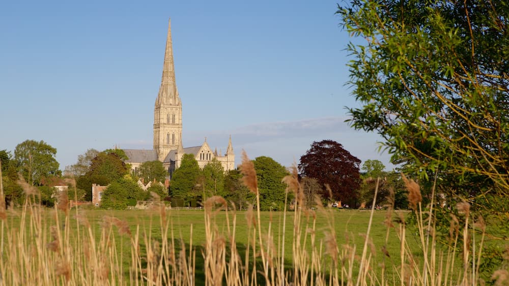 Salisbury Cathedral welches beinhaltet ruhige Szenerie und historische Architektur