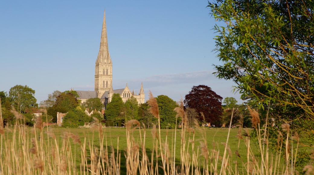 Salisbury Cathedral som omfatter historiske bygningsværker og fredfyldte omgivelser