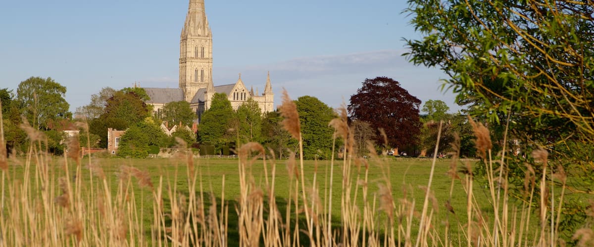 Salisbury Cathedral featuring heritage architecture and tranquil scenes
