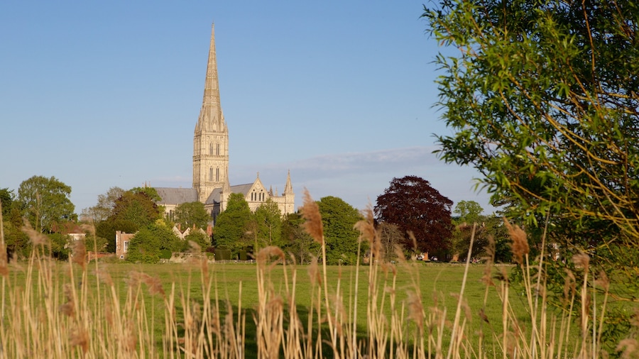 Salisbury Cathedral which includes heritage architecture and tranquil scenes