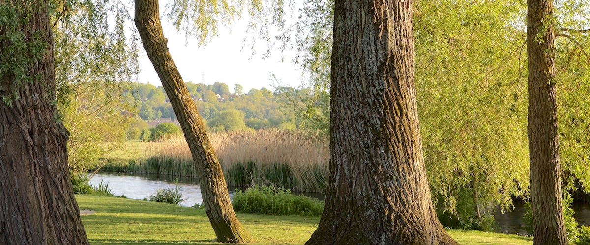 Wiltshire which includes tranquil scenes