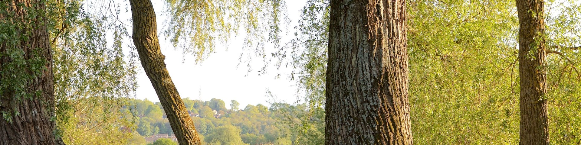 Wiltshire das einen ruhige Szenerie
