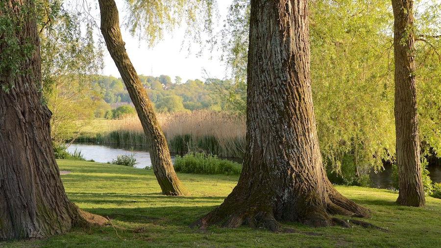 Wiltshire featuring rauhalliset maisemat