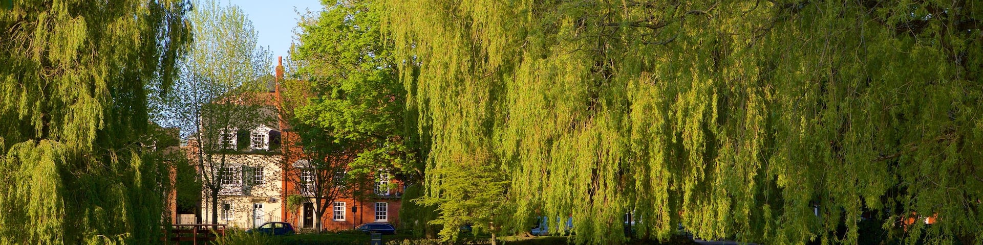 Salisbury showing heritage architecture and a river or creek