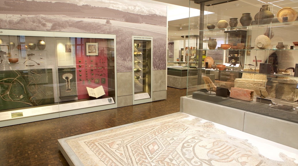 Salisbury and South Wiltshire Museum featuring interior views