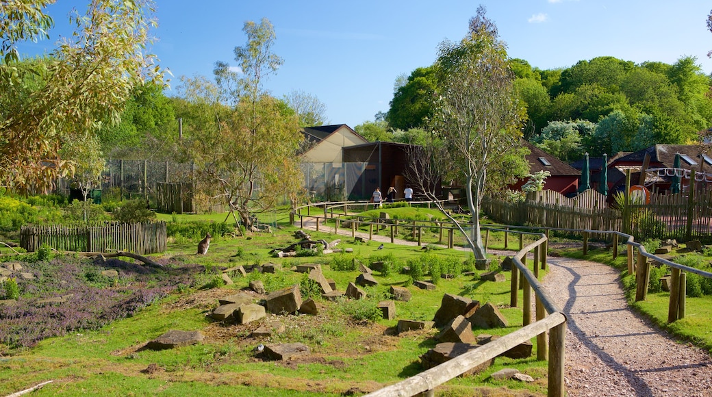 Marwell Wildlife zoologiska park