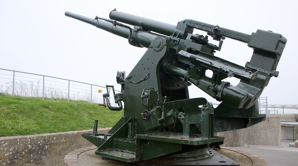 Nothe Fort showing military items