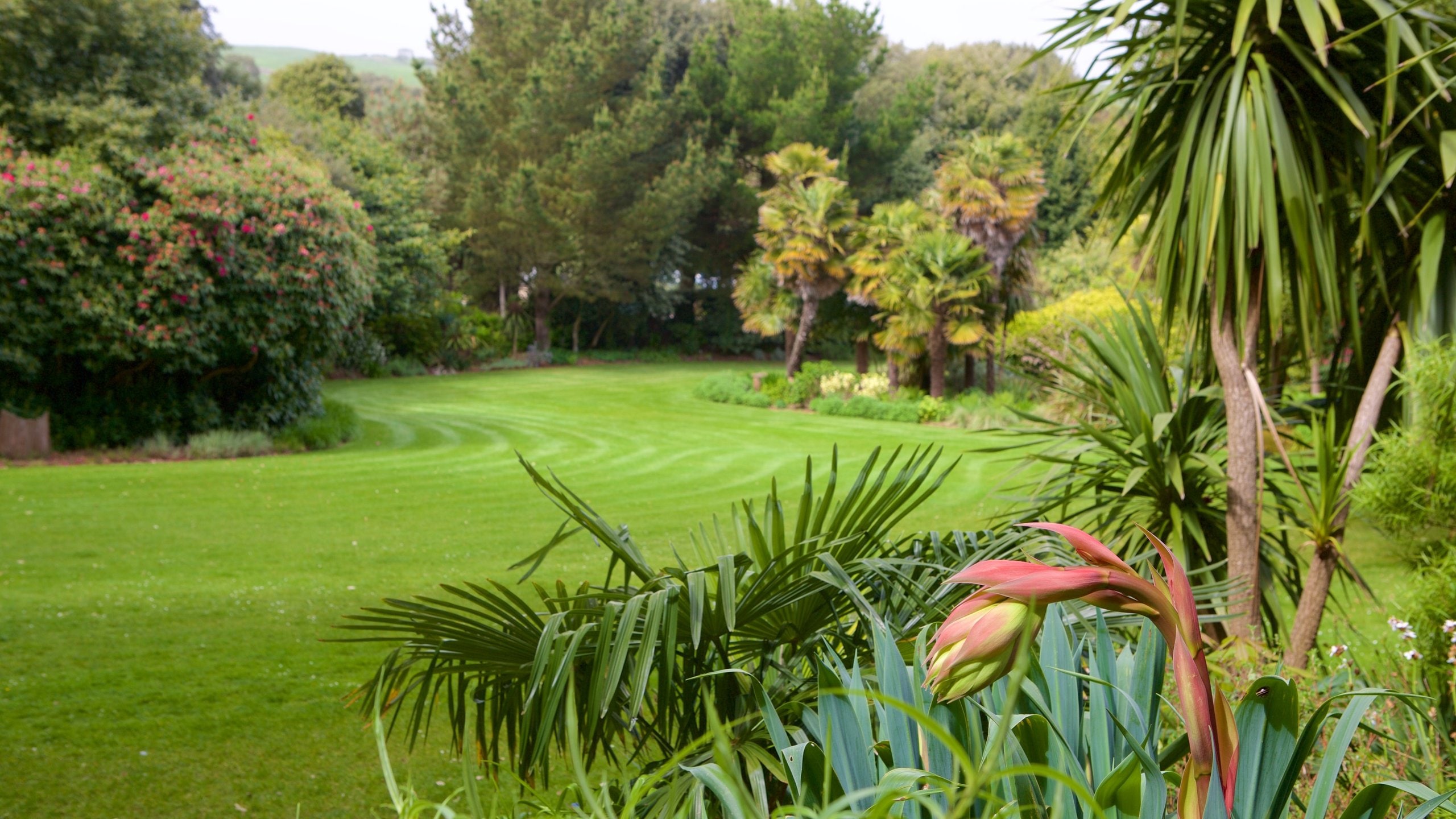 West Dorset District, GB Vacation Rentals house rentals & more Vrbo