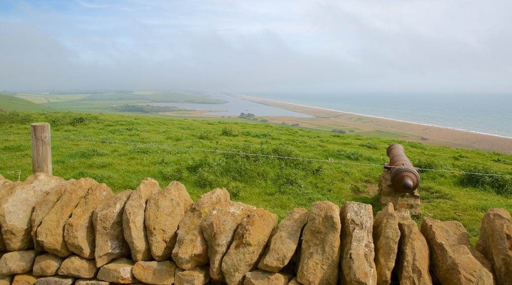 Abbotsbury Sub-Tropical Gardens showing tranquil scenes and military items