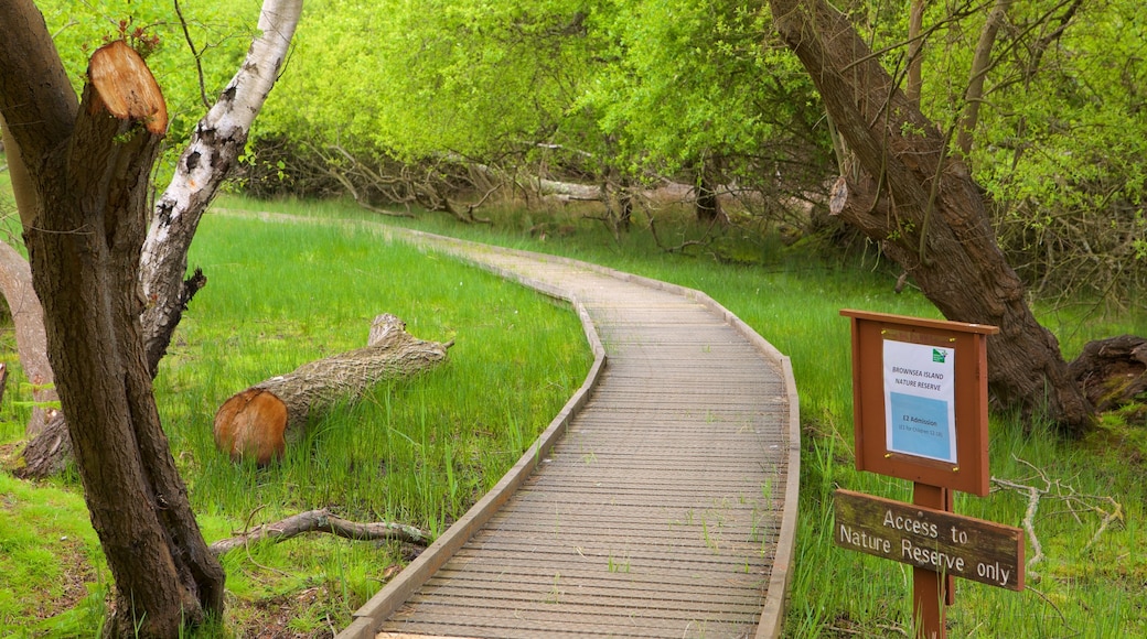 Brownsea Island showing a bridge and wetlands