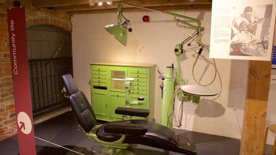 Poole Museum mettant en vedette vues intérieures