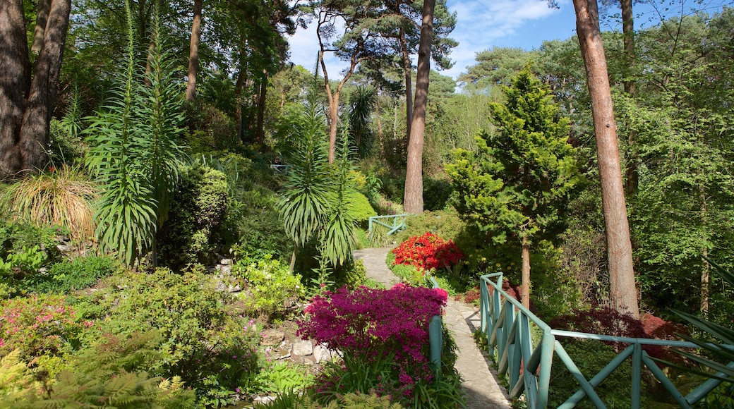 Compton Acres which includes forest scenes, flowers and a bridge