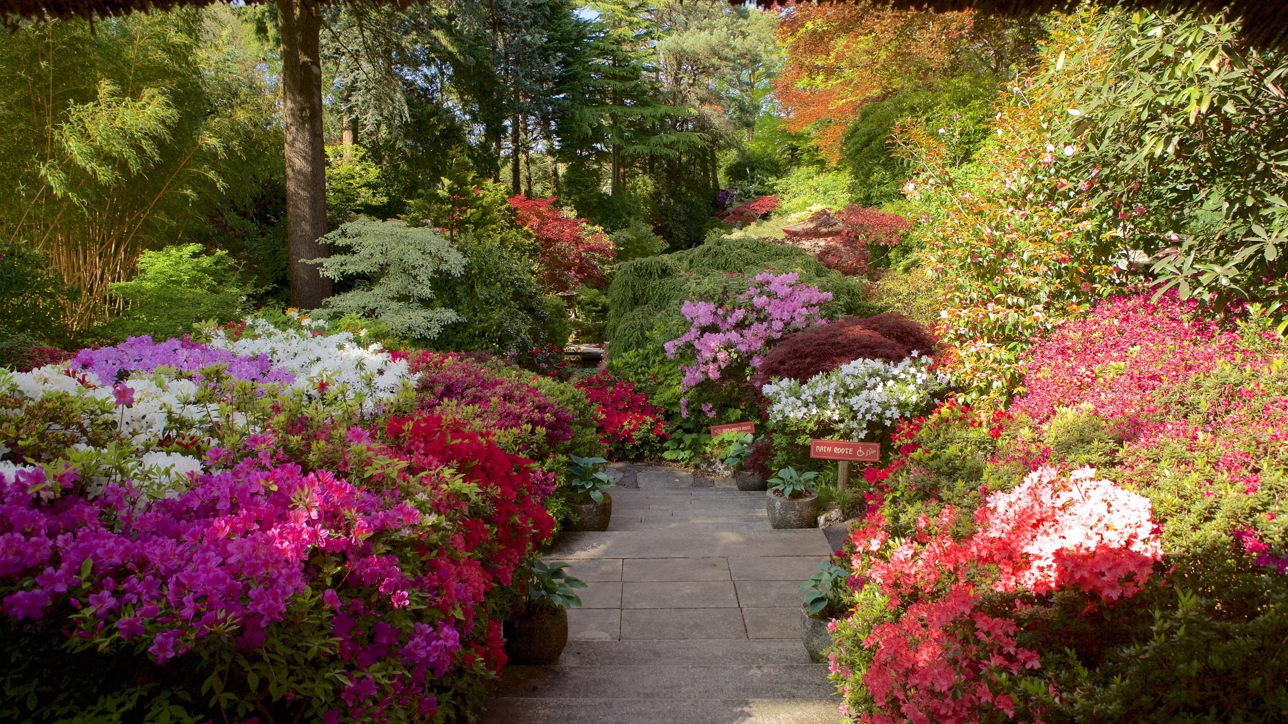 Compton Acres featuring flowers