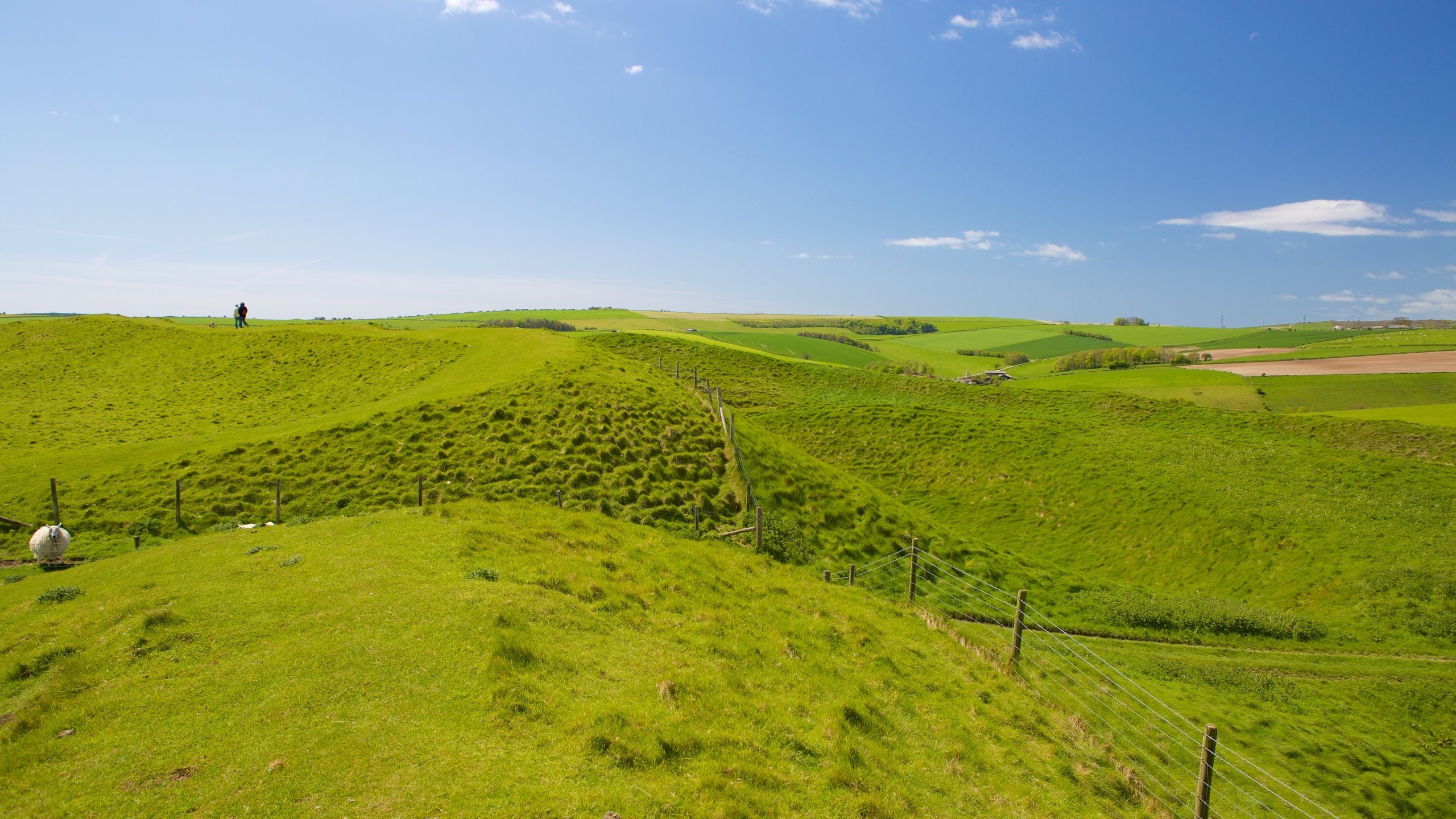 Maiden Castle showing tranquil scenes