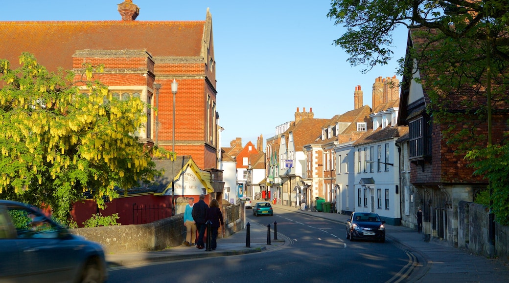 Salisbury featuring street scenes