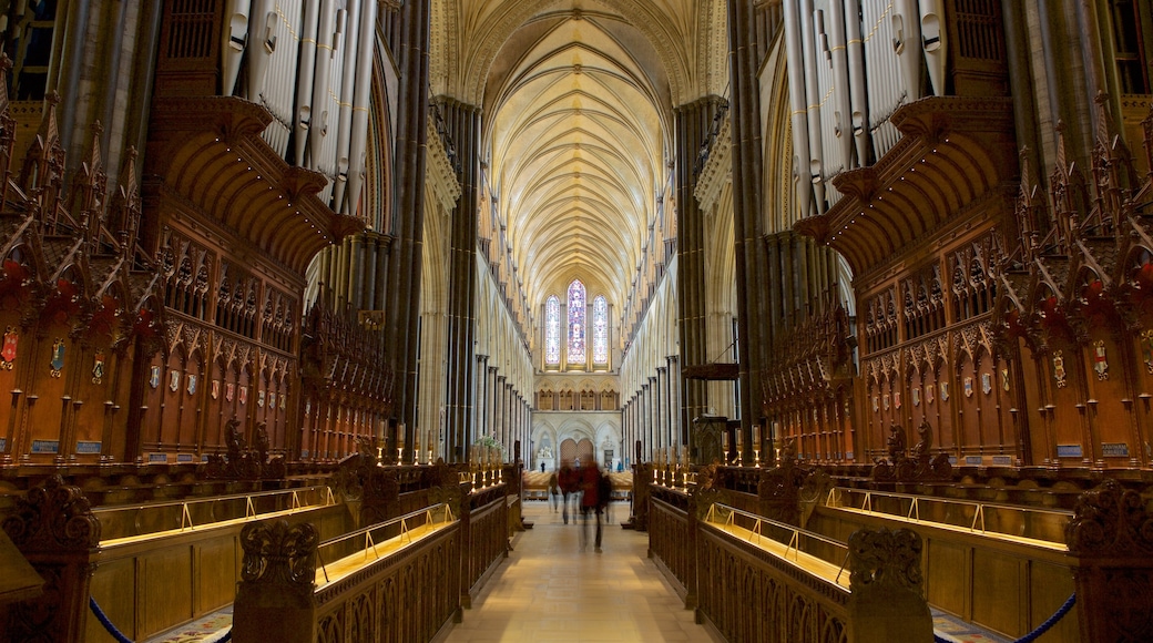 Salisbury Cathedral featuring interior views