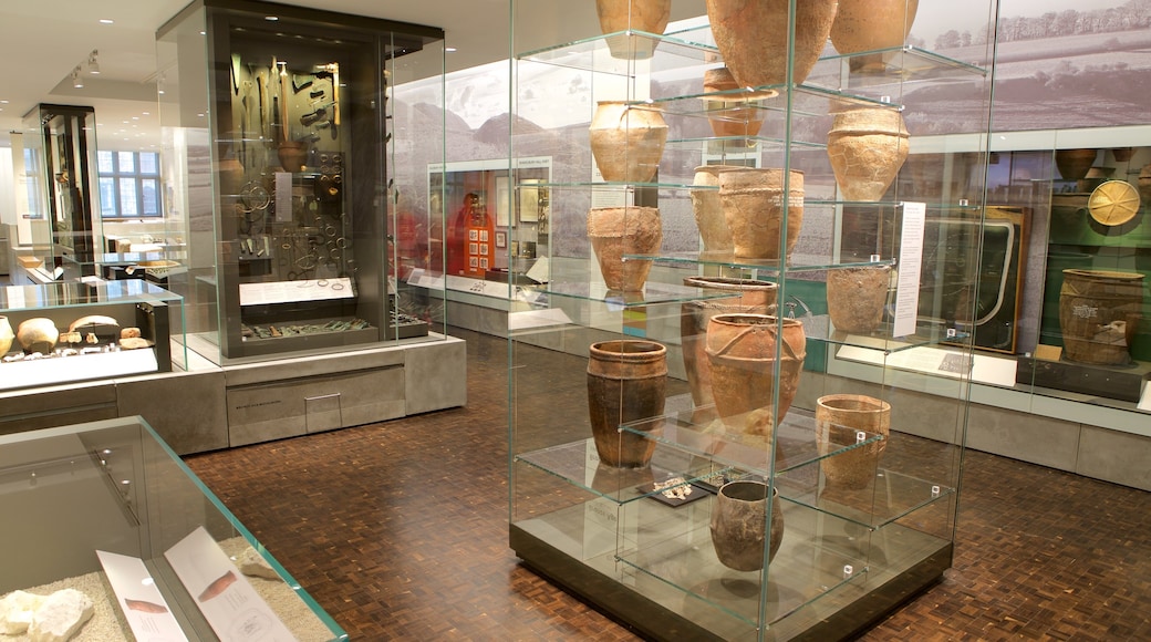 Salisbury and South Wiltshire Museum which includes heritage elements and interior views