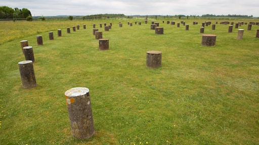 Woodhenge which includes outdoor art and tranquil scenes