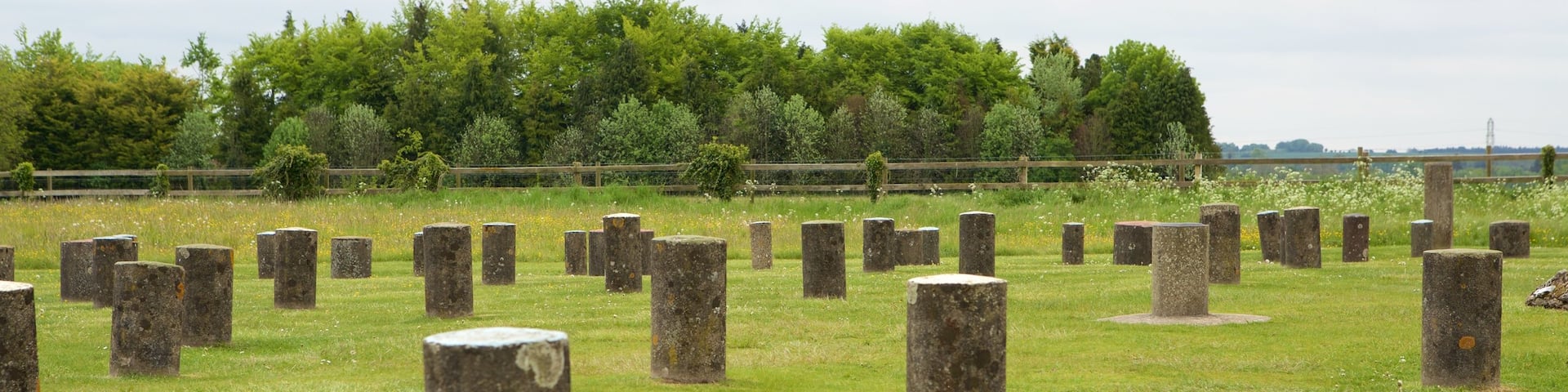 Woodhenge showing outdoor art, tranquil scenes and a monument