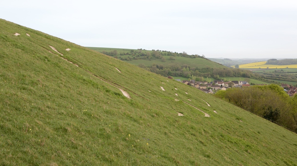 Cerne Abbas Giant แสดง ทิวทัศน์ที่เงียบสงบ