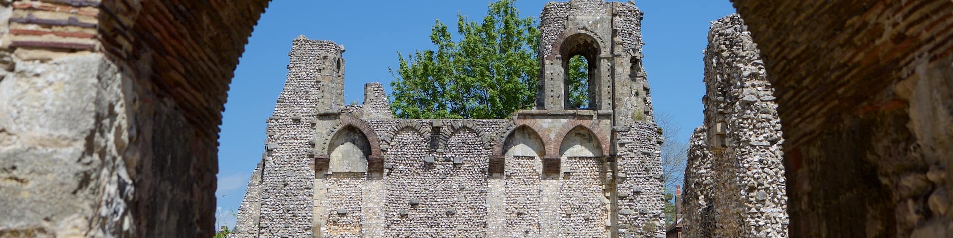 Wolvesey Castle showing chateau or palace and heritage elements