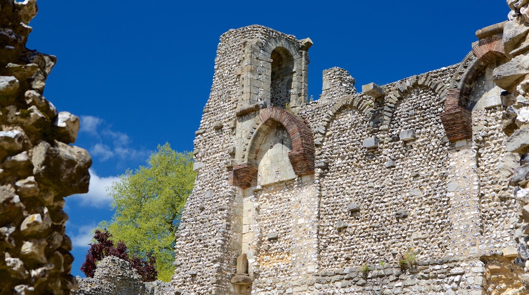 Wolvesey Castle showing building ruins, heritage elements and a castle