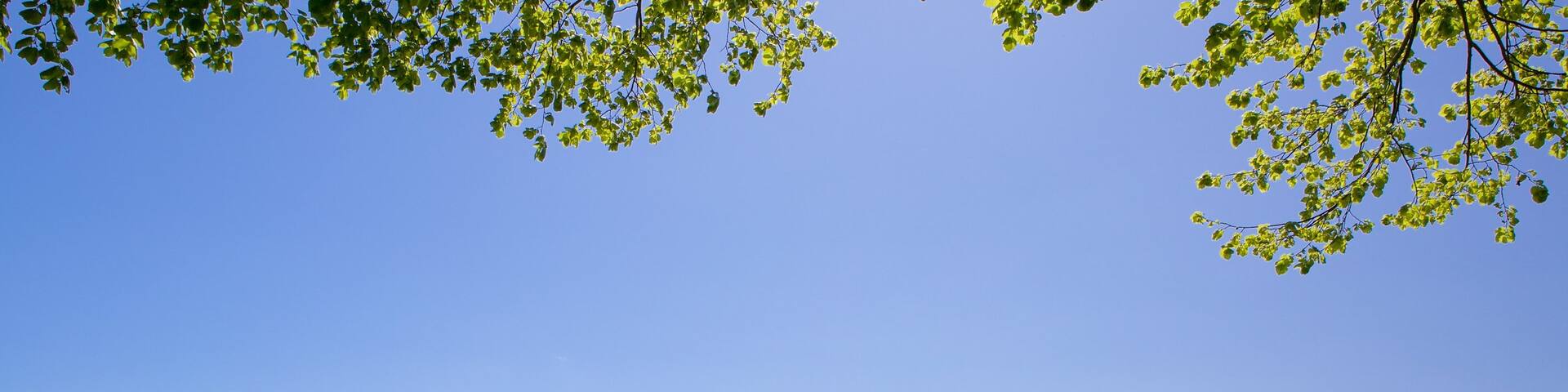 Maumbury Rings showing tranquil scenes