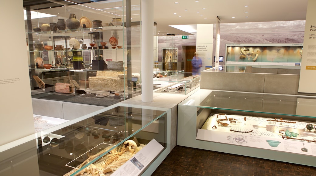 Salisbury and South Wiltshire Museum which includes interior views and heritage elements