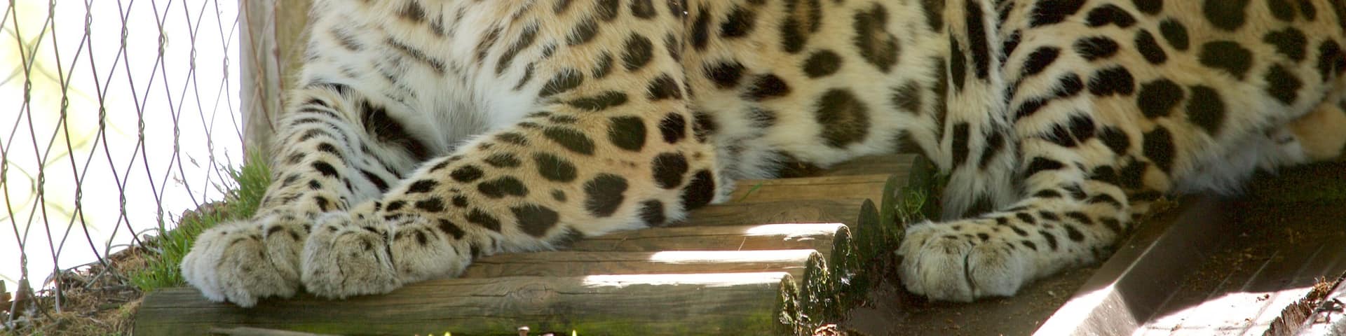 Marwell Wildlife which includes zoo animals and dangerous animals