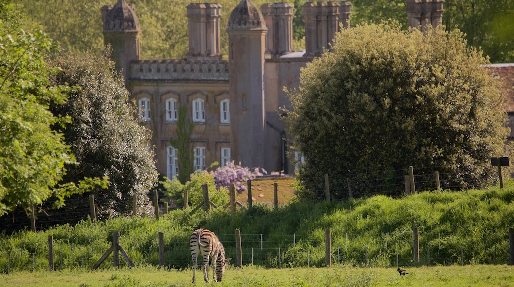 Marwell Wildlife zoologiska park presenterar ett slott och gulliga djur