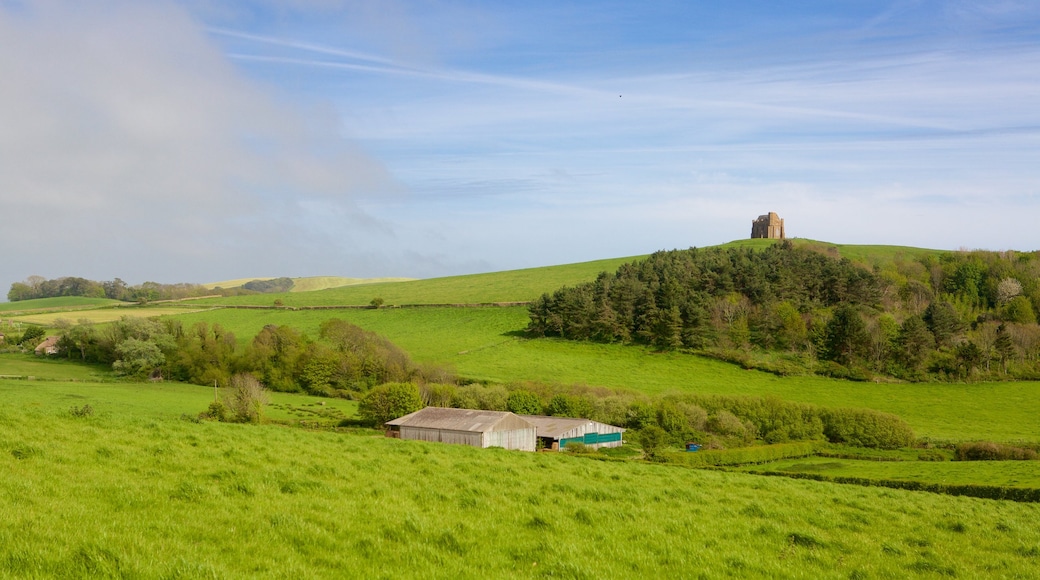 St. Catherine\'s Chapel featuring tranquil scenes