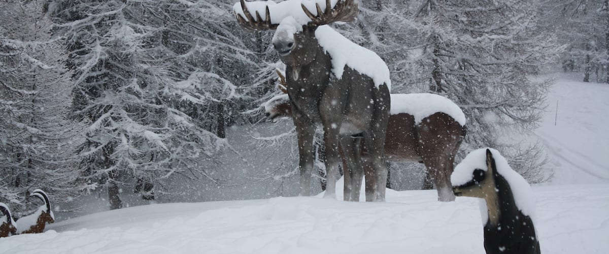 Bardonecchia Ski Resort featuring snow and a statue or sculpture