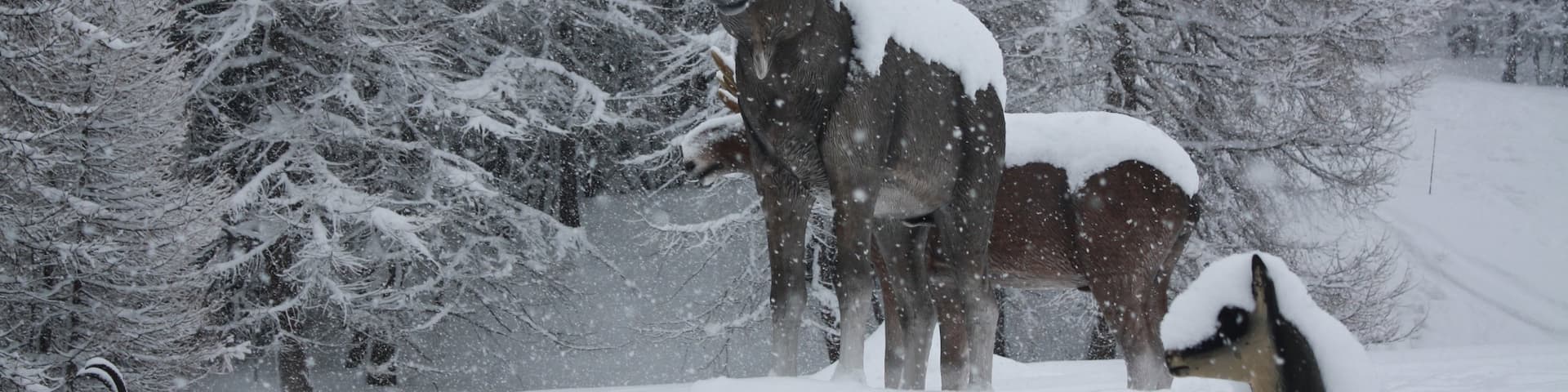 Bardonecchia Ski Resort featuring a statue or sculpture and snow