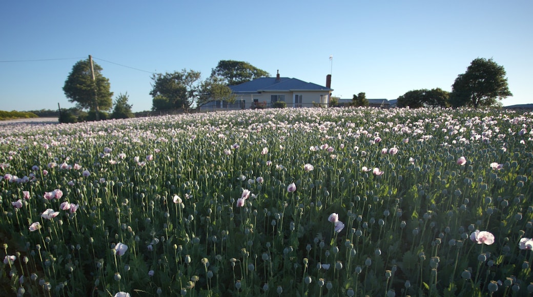 Photo fournie par Tourism Australia & Graham Freeman
