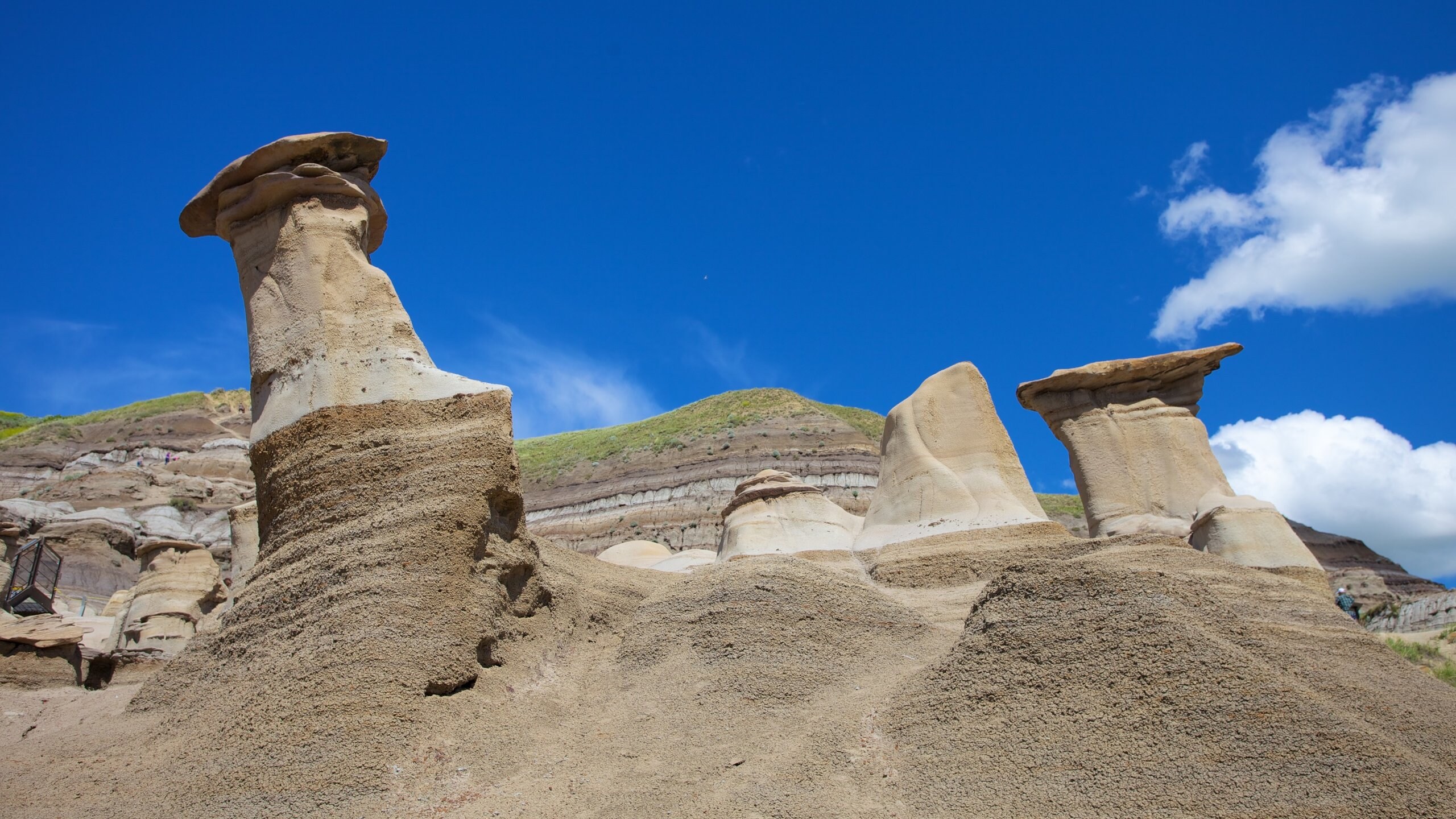 Visita Drumheller scopri il meglio di Drumheller, Alberta, nel 2021