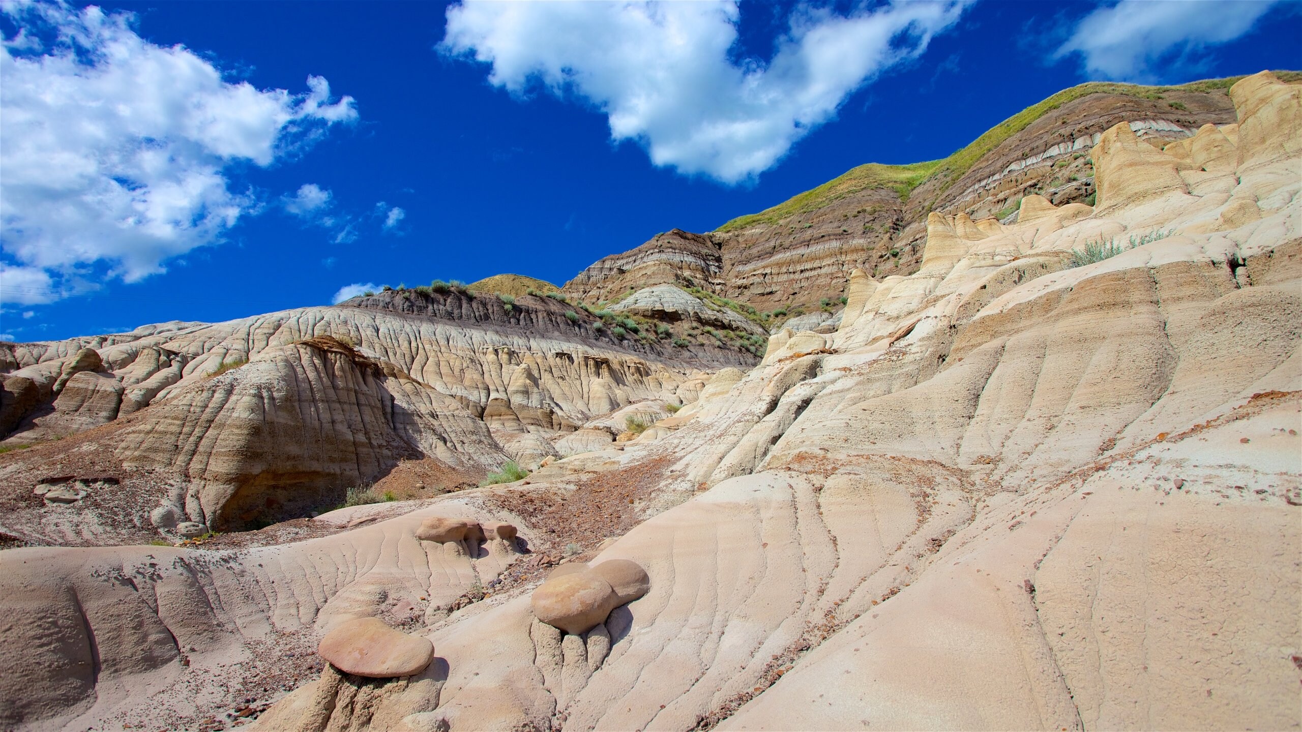 Visit Drumheller Best of Drumheller Tourism Expedia Travel Guide