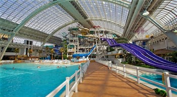 West Edmonton Mall showing interior views and a water park