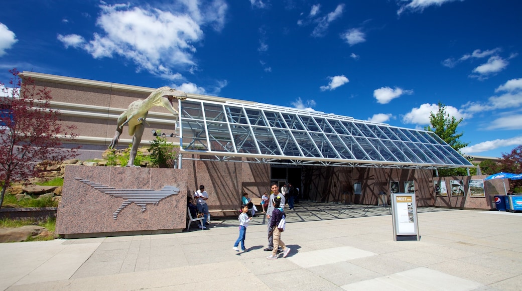 Royal Tyrrell Museum cosi come un piccolo gruppo di persone