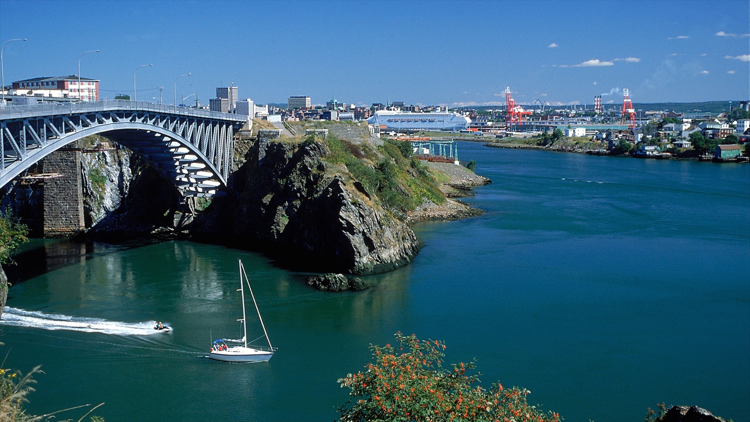 Reversing Falls som visar en hamn eller havsbukt och en bro