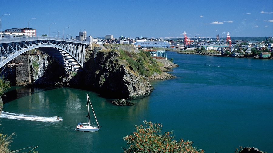 Reversing Falls ofreciendo un puente y una bahía o un puerto