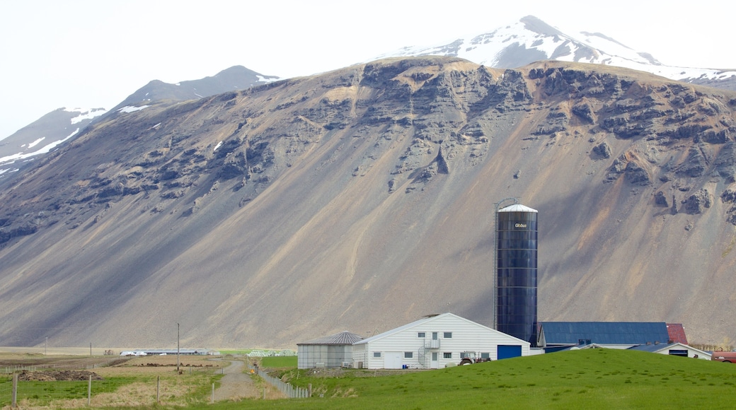 Östliches Island welches beinhaltet Berge und ruhige Szenerie