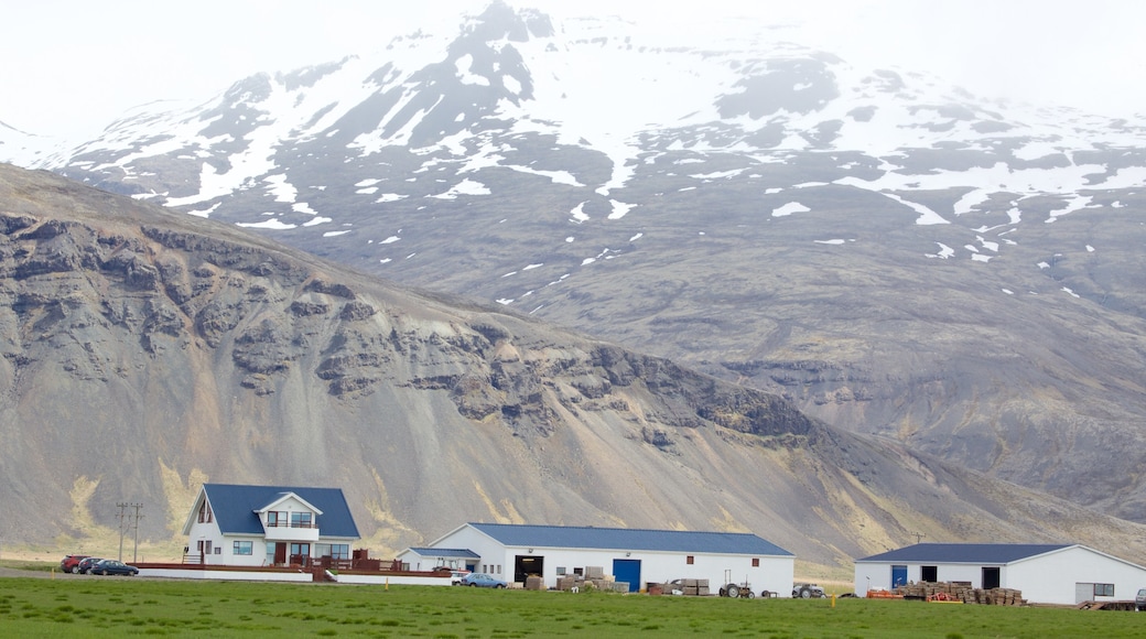 Østlige Island som viser sne, bjerge og fredfyldte omgivelser