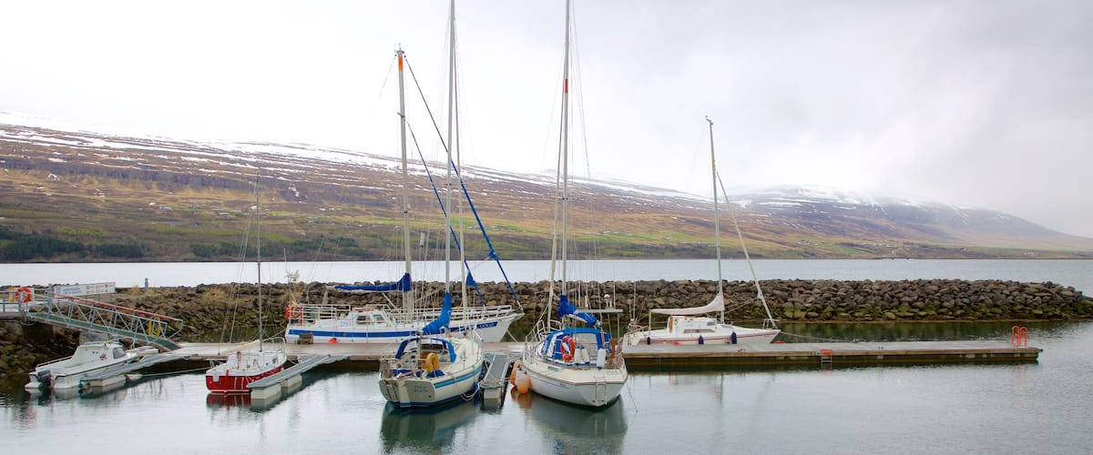 Akureyri mostrando navegación, una bahía o puerto y paseos en lancha