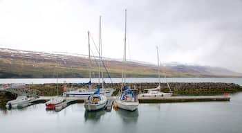 Akureyri que incluye embarcaciones, vela y vistas de una costa