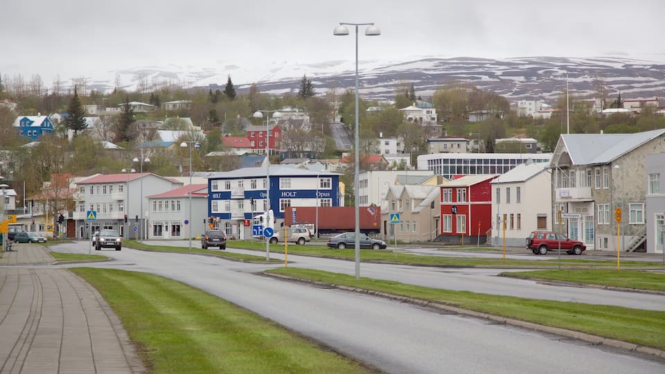 Akureyri welches beinhaltet Kleinstadt oder Dorf und Straßenszenen