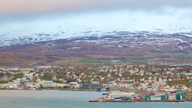 Akureyri showing a coastal town