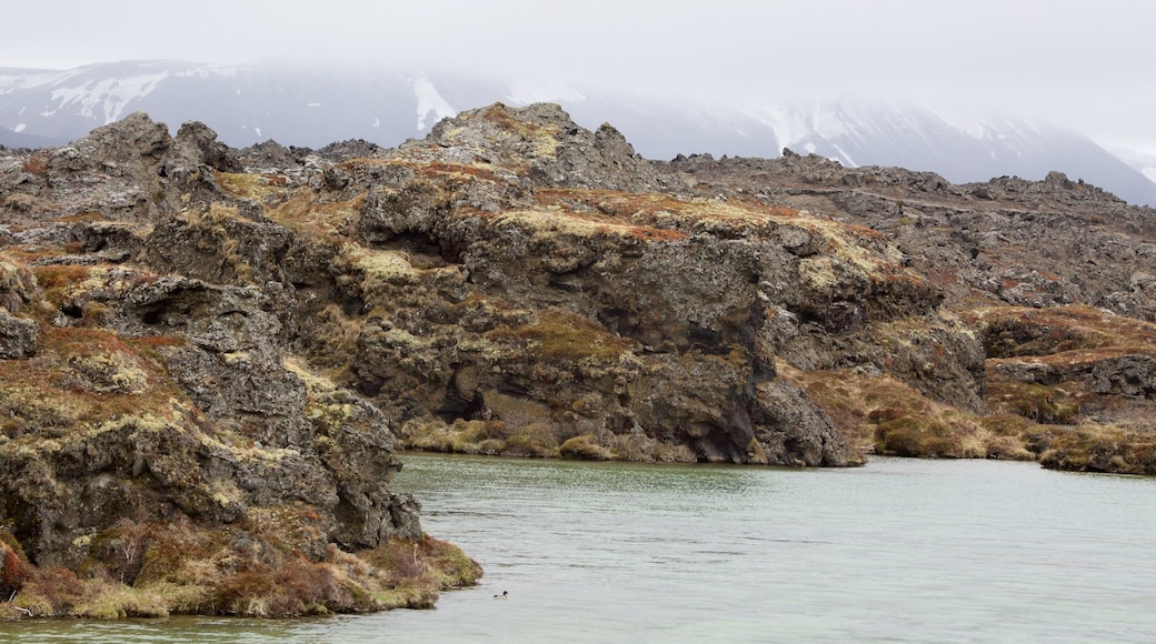 Myvatn which includes rugged coastline and mist or fog